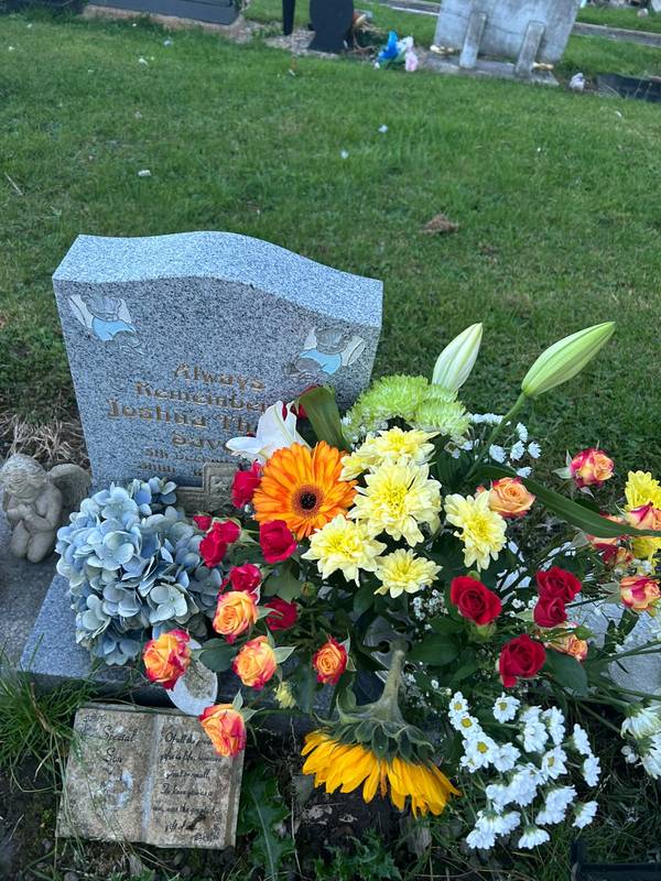 A small grey granite headstone surrounded by an orange gerbera, red and orange roses, yellow chrysanthemums, white daisies and a blue hydrangea